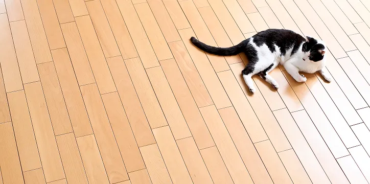 心地よい温もりを届ける「リビング床暖房」完備